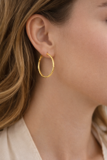 Nia earrings gold plated