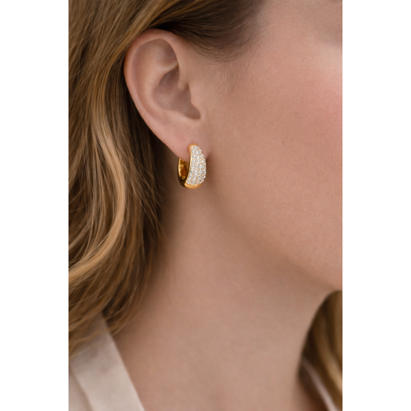 Alua earrings gold plated