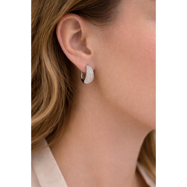 Alua earrings silver