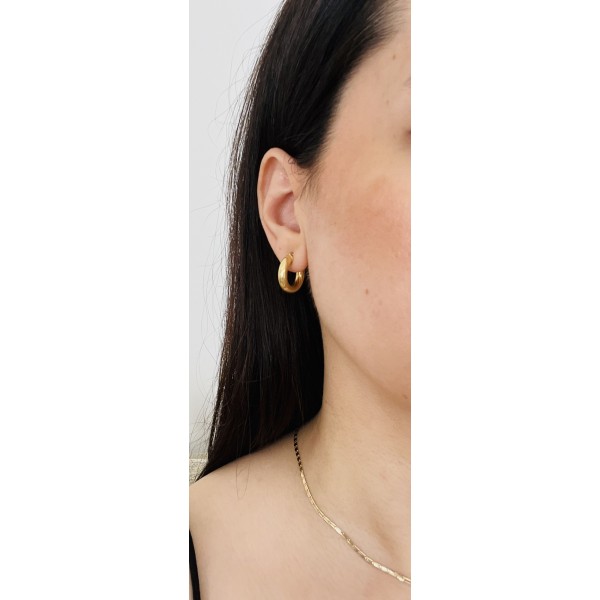 Annora Earrings gold-plated