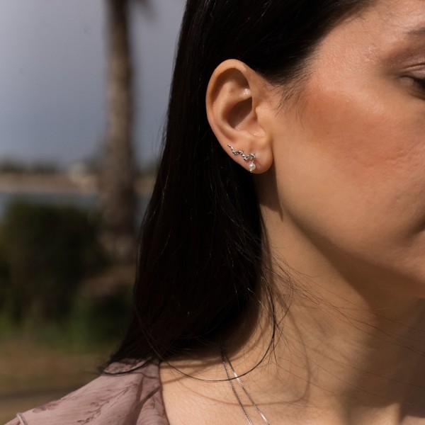 Zaliyah Earrings silver