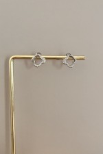 Aroa Earrings silver