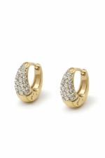 Alua earrings gold plated