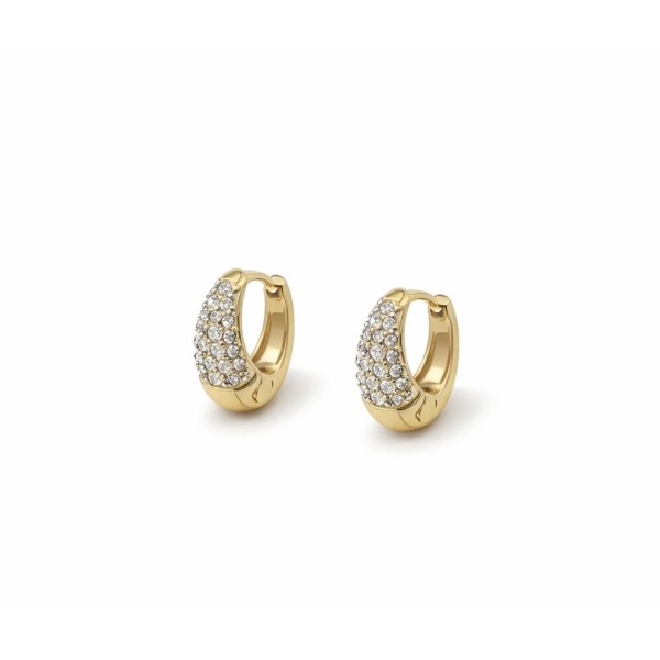 Alua earrings gold plated