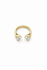 Anea ring gold plated
