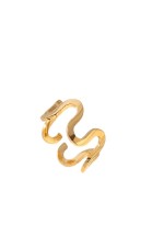 Aviva ring Aviva ring
