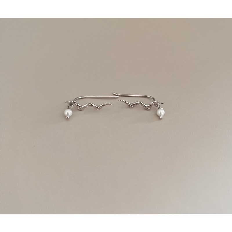 Zaliyah Earrings silver