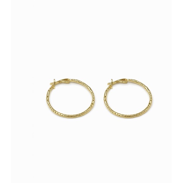 Nia earrings gold plated